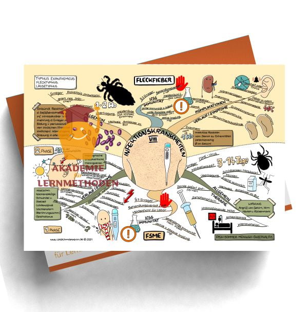 Mindmaps zum Thema Infektionskrankh.- Fleckfieber, FSME