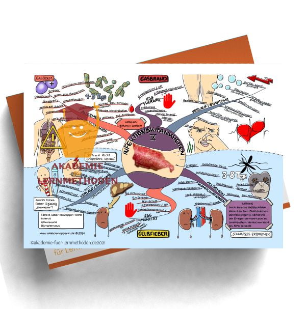 Mindmap zum Thema Infektionskrankheiten- Gasbrand und Gelbfieber.