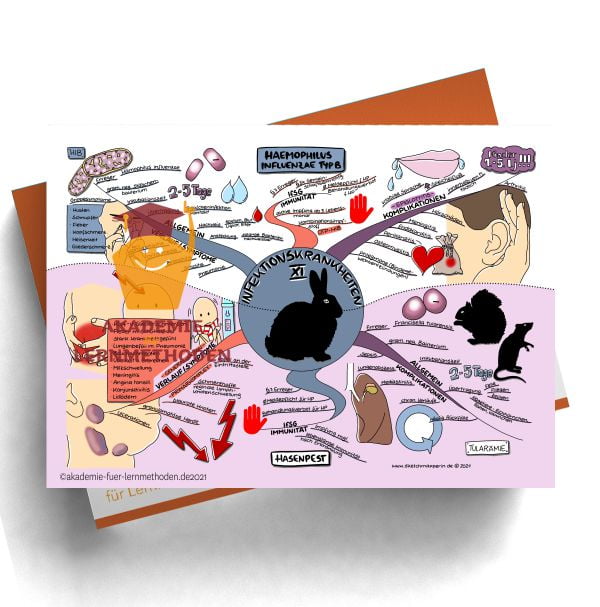 Mindmap zum Thema Infektionskrankheiten Haemop.influenzae-Typ-B-Hasenpest.