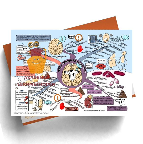 Mindmap zum Thema Infektionskrankheiten- HSE-HUS-EHEC