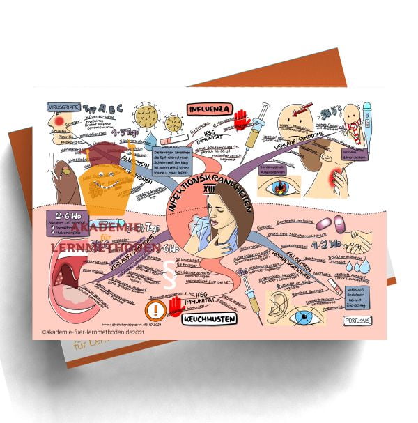 Mindmap zum Thema Infektionskrankheiten- Influenza und Keuchhusten.