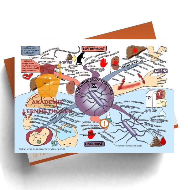 Mindmap zum Thema Infektionskrankheiten- Listeriose und Leptospirose