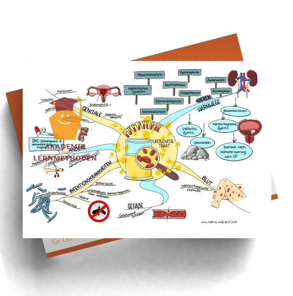 Mindmap zum Thema Hämaturie