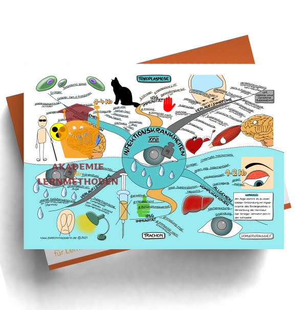 Mindmap zum Thema: Infektionkrankheiten Toxoplasmose und Trachom.