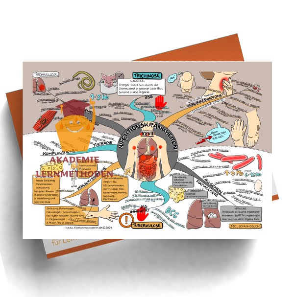 Mindmap zum Thema: Infektionkrankheiten Trichinose und Tuberkulose