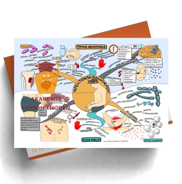 Mindmap zum Thema: Infektionkrankheiten Typhus abd. und Ulcus molle