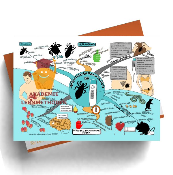 Mindmap zum Thema: Infektionkrankheiten Verlausung, virusbed. hämorr. Fieber
