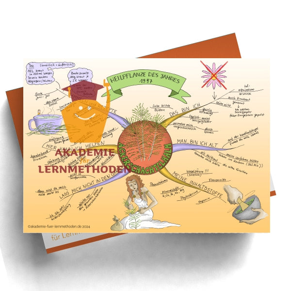 Mindmap prêle des champs
