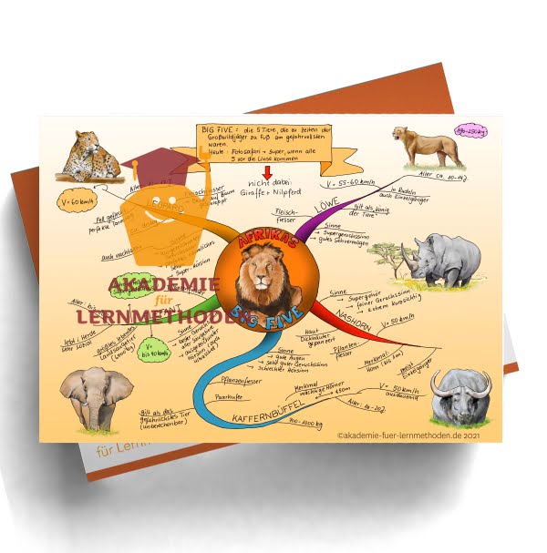 Mindmap zum Thema Afrikas Big Five