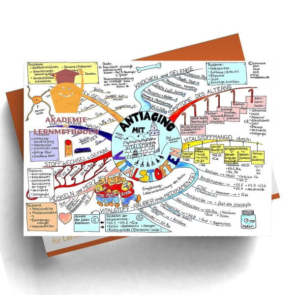 Mindmappaket Biologie 3 - Gesunde Ernährung [Digital]