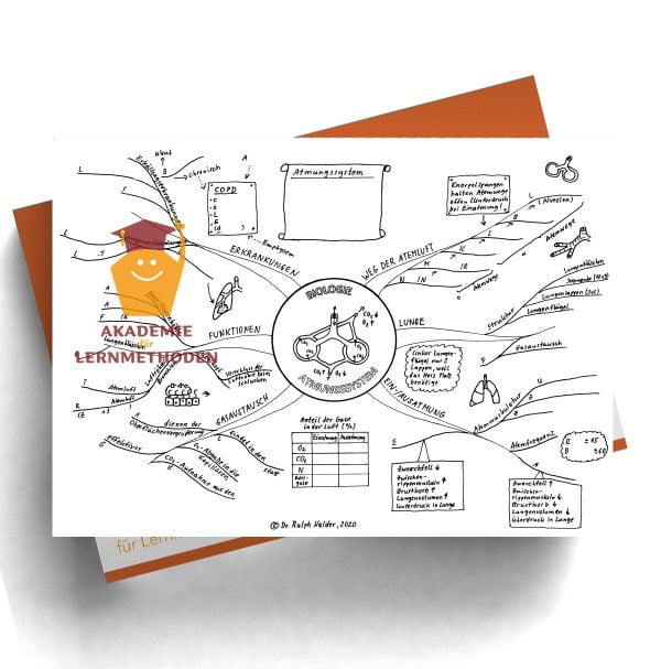 Mindmap zum Thema Atemwege als Lücken Mindmap
