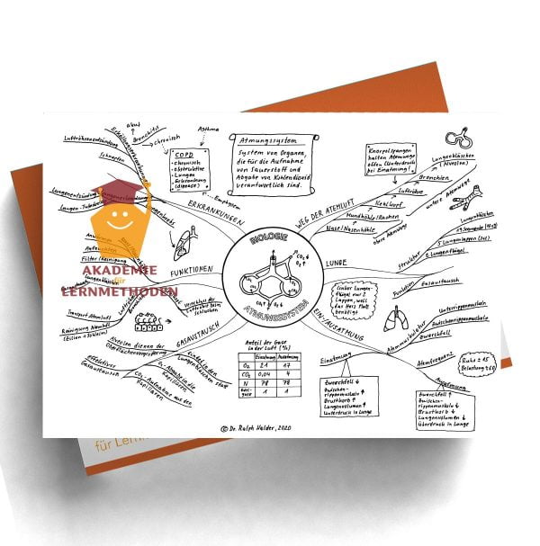 Mindmap zum Thema Atemwege in schwarz-weiß Format