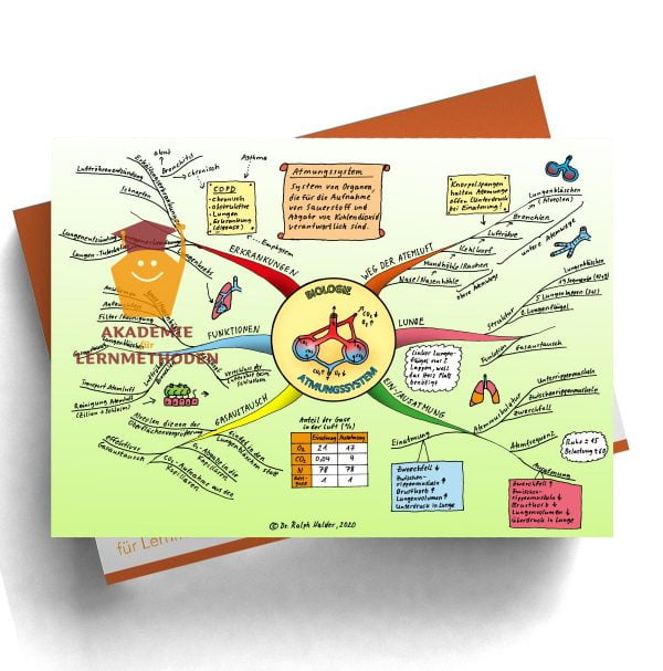Mindmap zum Thema Atemwege