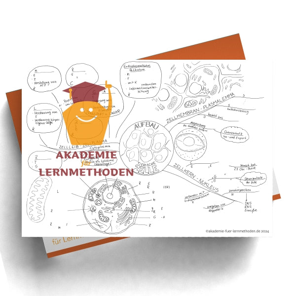 Mindmap über den Aufbau der tierischen Zelle