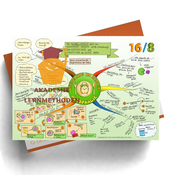 Mindmap zum Thema: Autophagie-Recycling im Körper