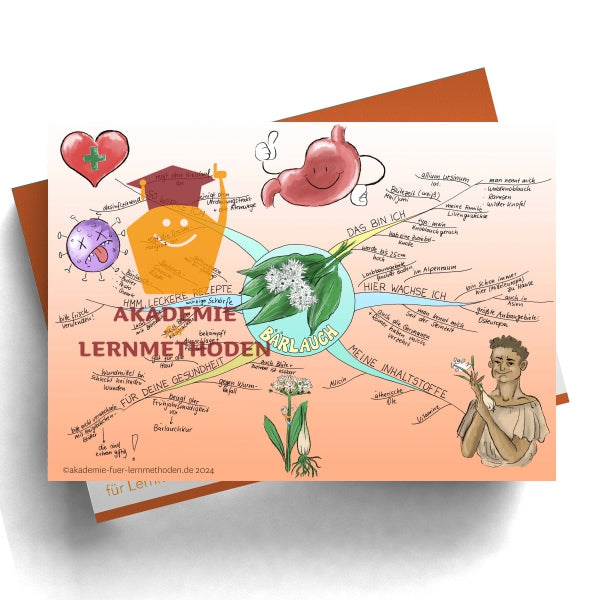 Mindmap ail des ours