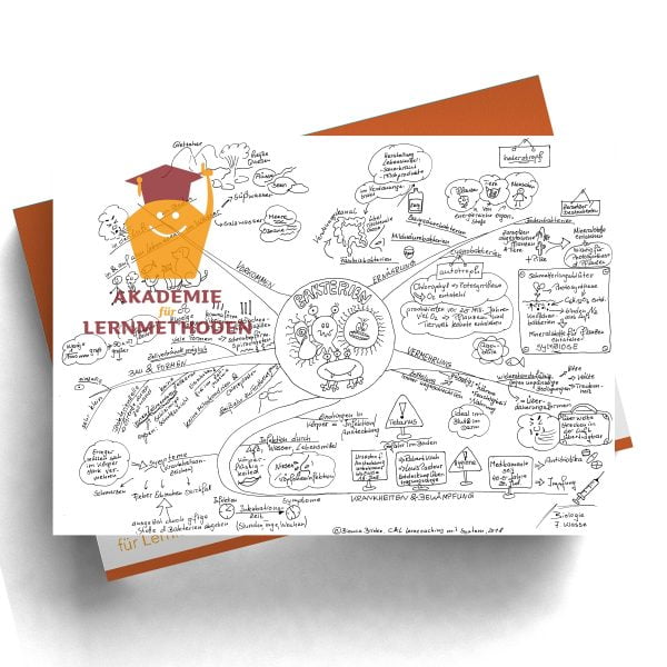 Mindmap zum Thema Bakterien in Schwarz-Weiß