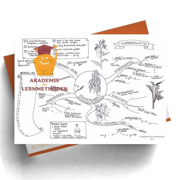 Mindmap zum Thema Beinwell mit Lücken