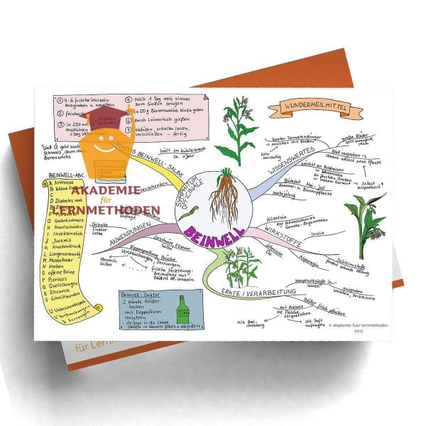 Mindmap Beinwell in Farbe