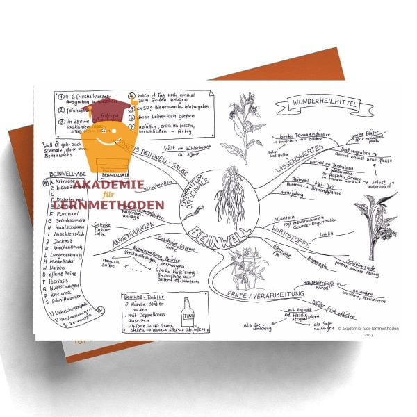 Mindmap zum Thema Beinwell in Schwarz-Weiß
