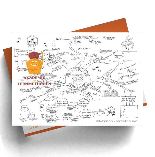 Mindmap über die Biene als Lückenmindmap, als Arbeitsblatt