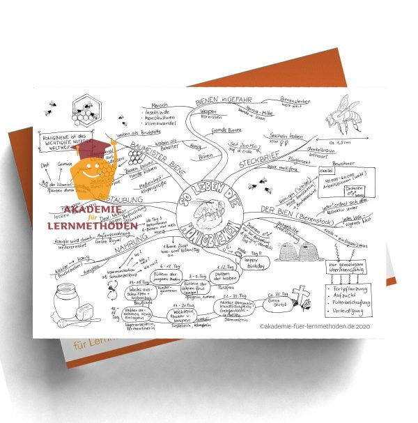 Mindmap über die Biene in schwarz-weiß