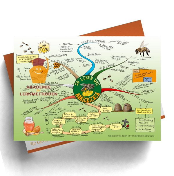 Mindmap Die Honigbiene