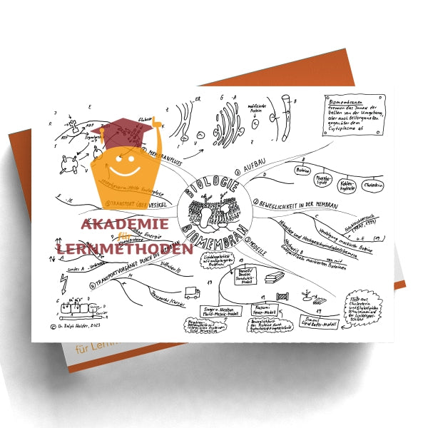 Mindmap zum Thema Biomembran