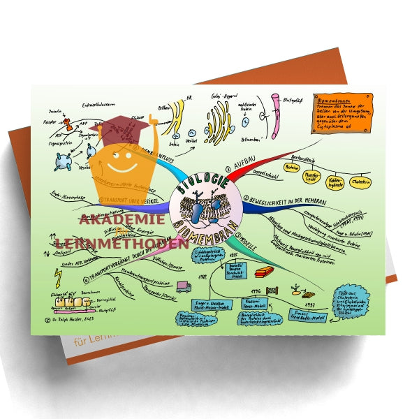 Mindmap zum Thema Biomembran