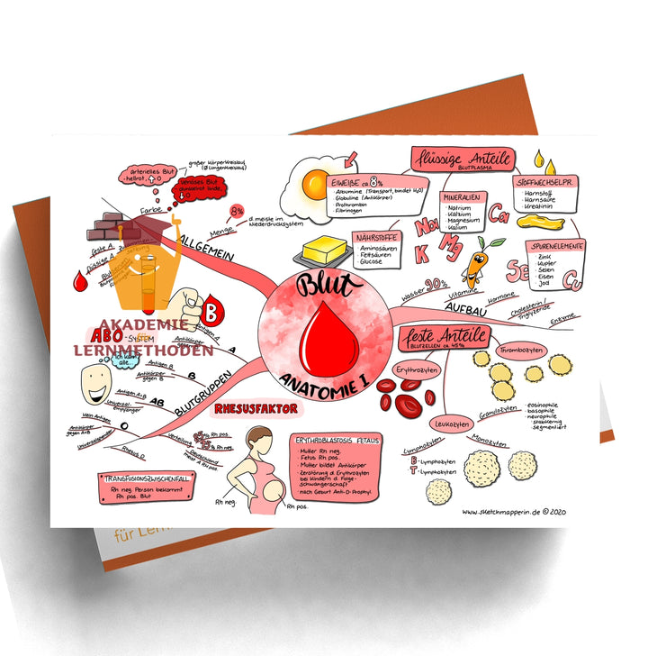 Mindmaps Prüfungswissen med. HP - Blut 2 (11-18)