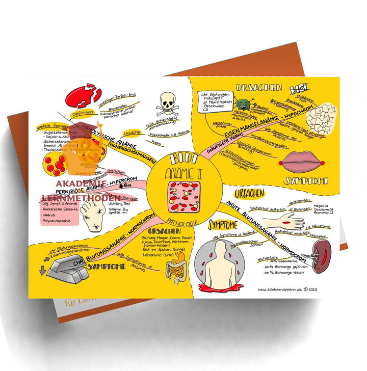 Mindmaps Prüfungswissen med. HP - Blut 2 (11-18)
