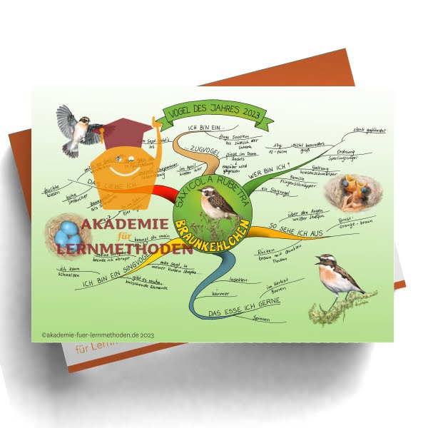 Ein Mindmap über Braunkehlchen