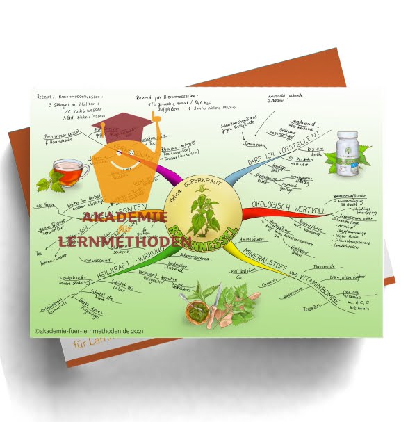 Mindmap zum Thema Brennnessel