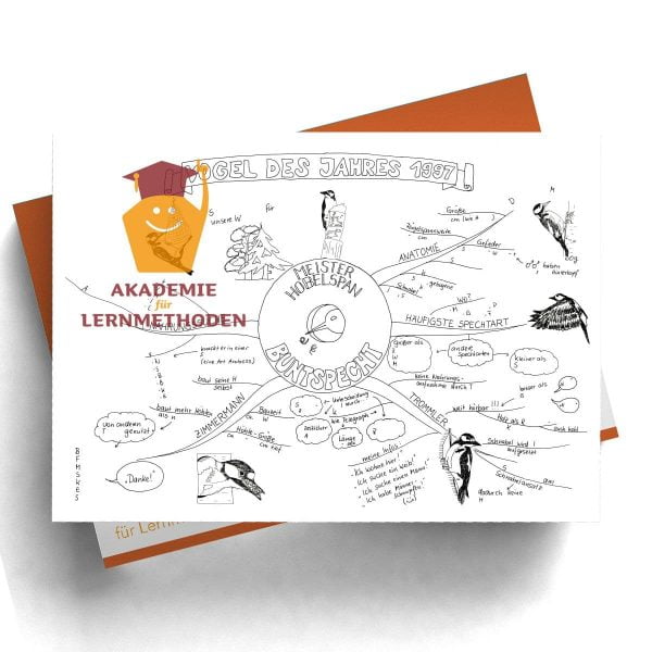 Mindmap zum Thema Buntspecht mit Lücken