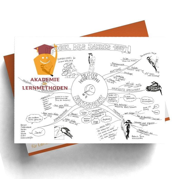 Mindmap zum Thema Buntspecht in Schwarz Weiß
