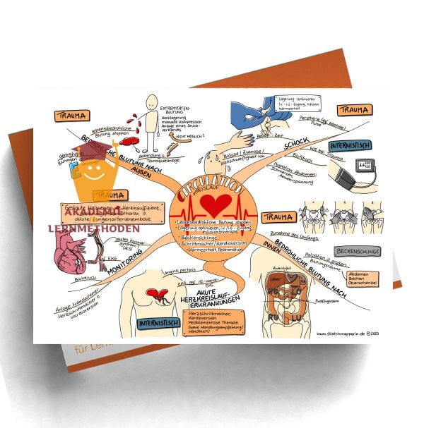 Notfalluntersuchung nach ABCDE-Schema Thema Circulation-Kreislauf