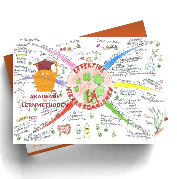 Mindmap zum Thema Effektive-Mirkoorganismen