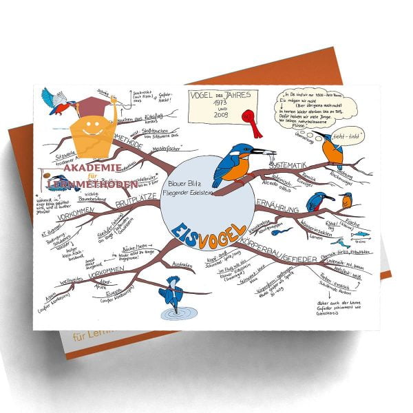 Mindmappaket Biologie 4 - Vögel I - die Herrscher der Lüfte [Digital]