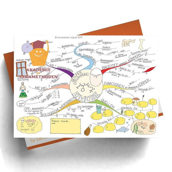 Mindmap Eiweiß