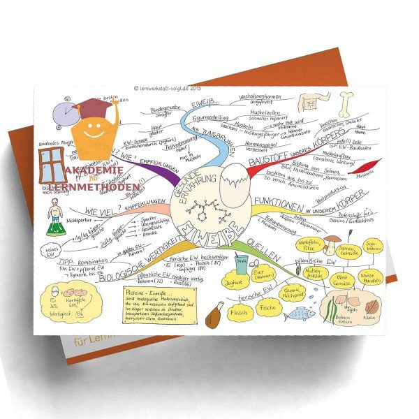 Mindmap Eiweiß -  Digitalformat