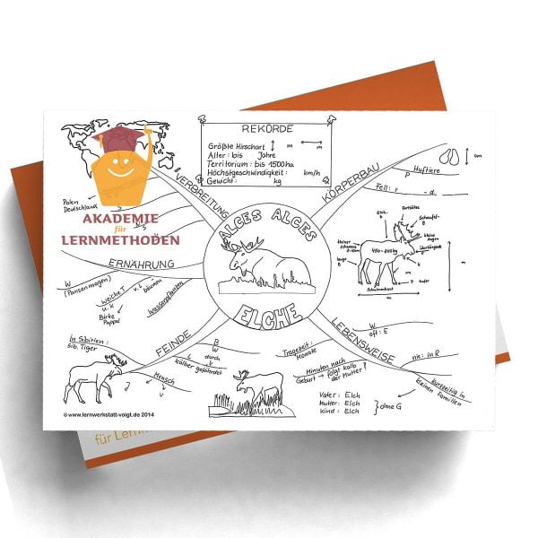 Mindmap Elche