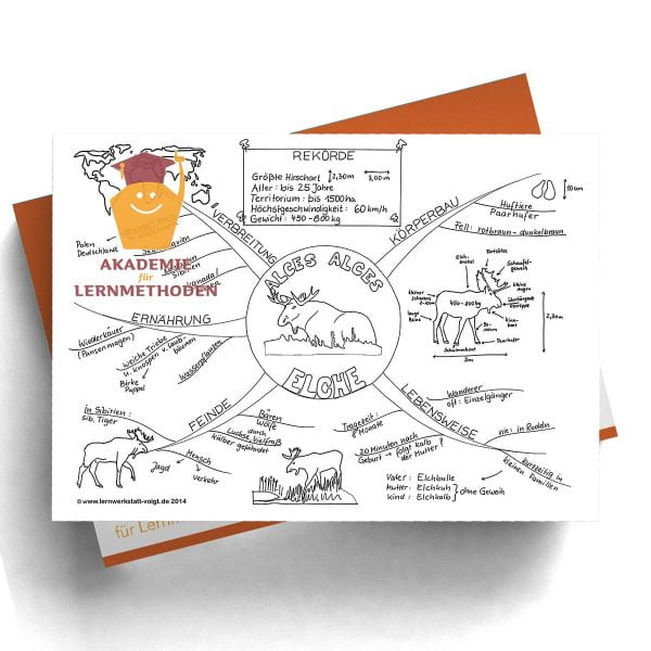 Mindmap Elche