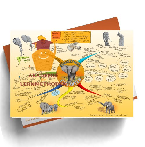 Mindmap vom Elefant