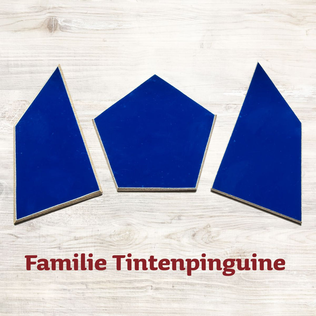 Speedolino Schneesturm Familien