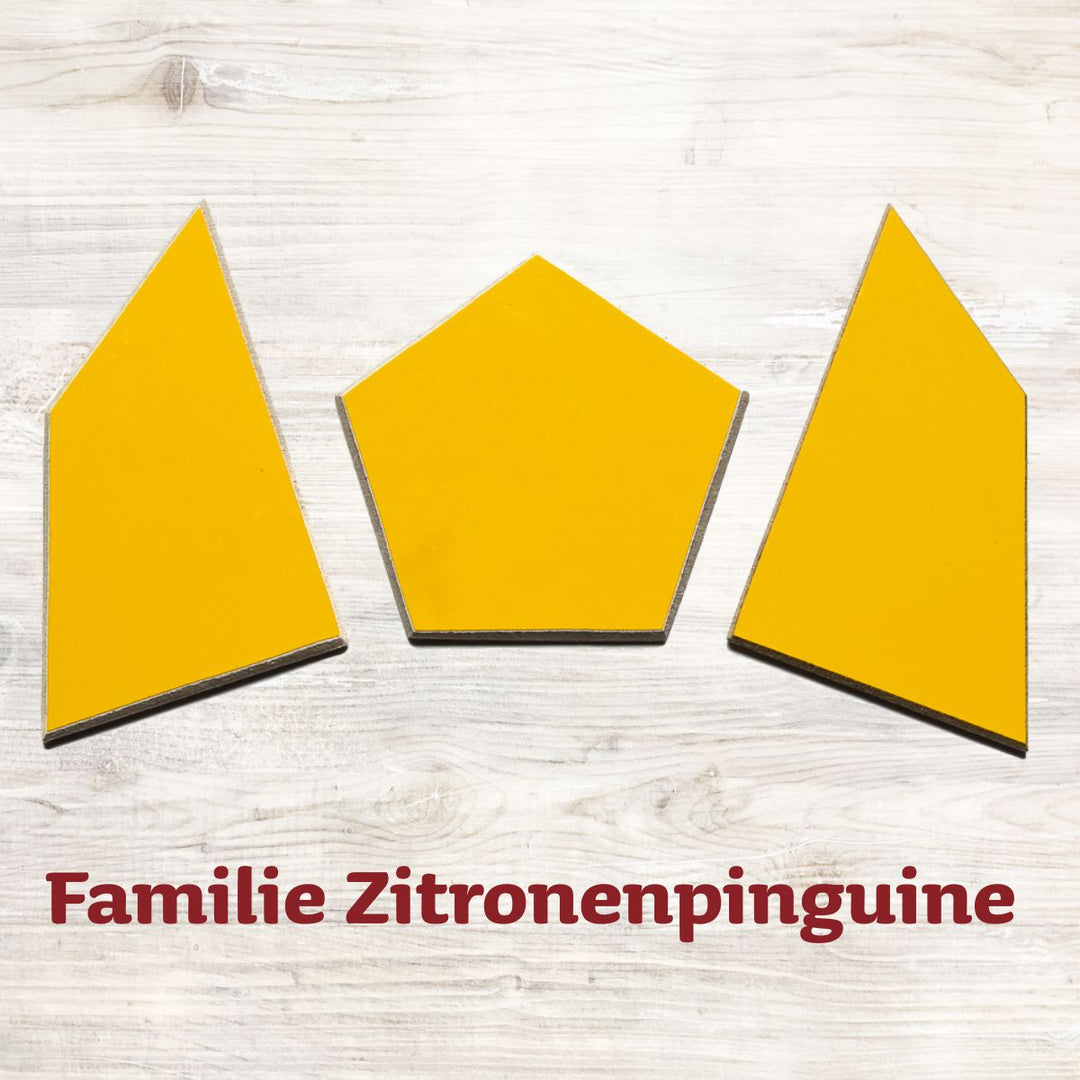 Speedolino Schneesturm Familien