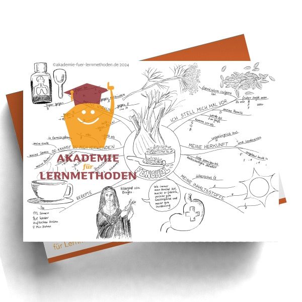 Mindmap sur le thème du fenouil