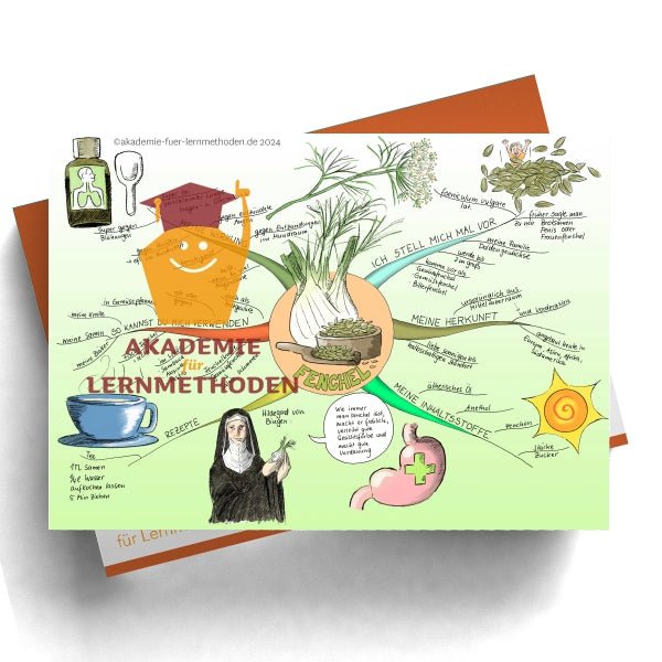 Mindmap sur le thème du fenouil