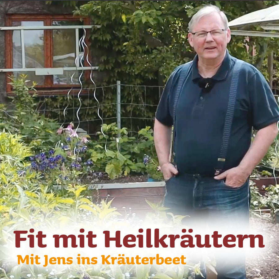 Onlinekurs Fit mit Heilkräutern