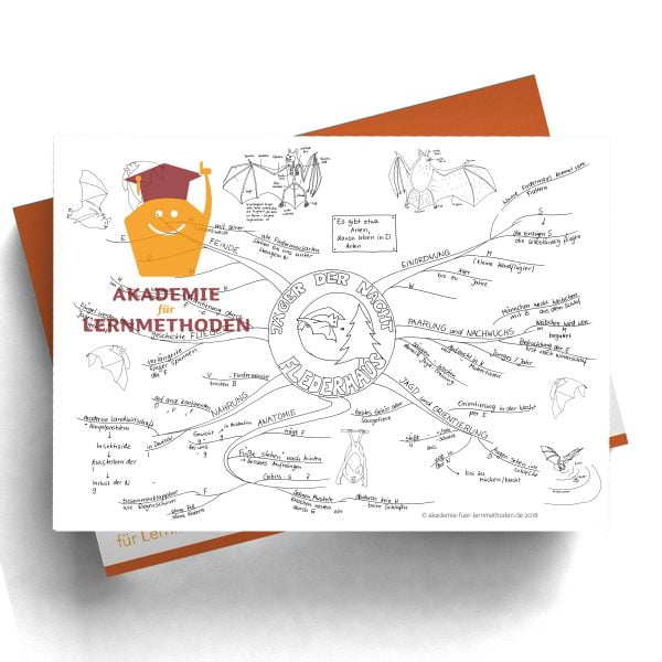 Mindmap zum Thema Fledermaus mit Lücken