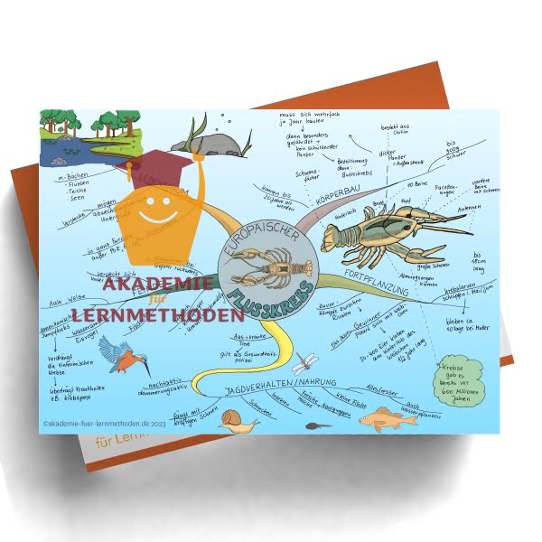 Mindmap der Flusskrebs